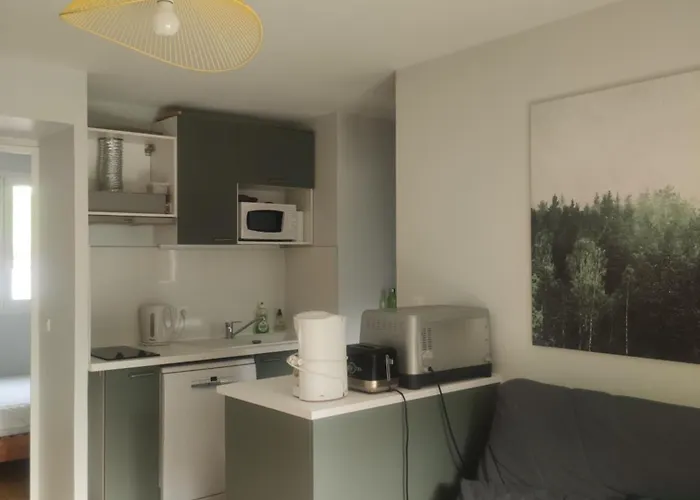 Clos Saint Michel Апартаменты Люс-Сен-Совёр